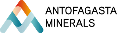 AMSA